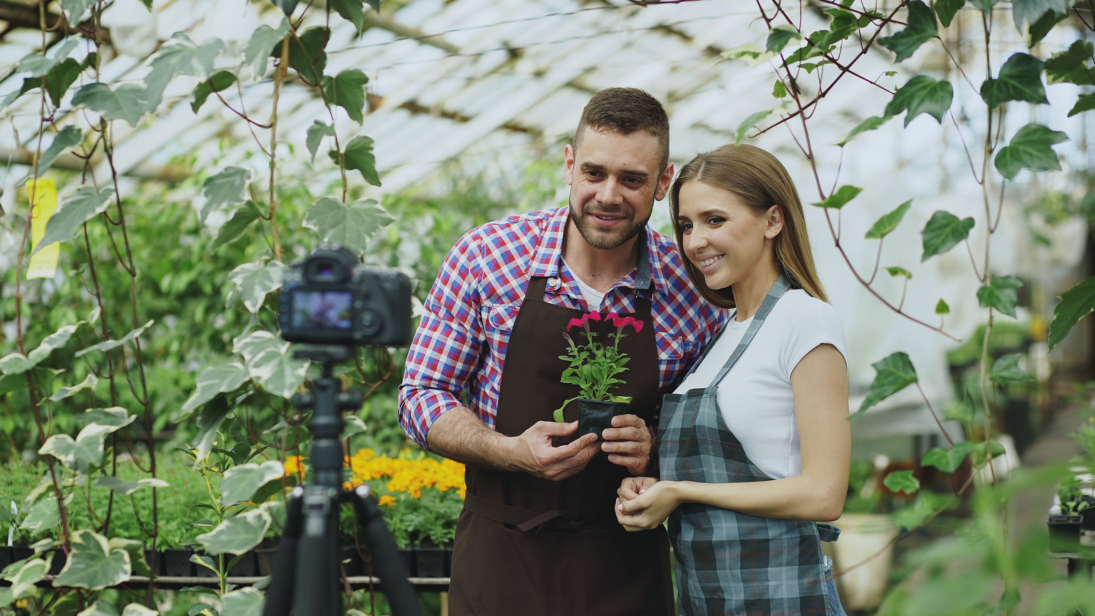 Growing businesses | Sailexhost